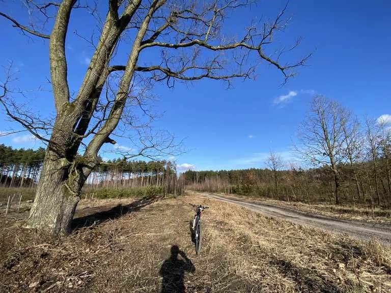 Nieborów atrakcje - odkryj najpiękniejsze miejsca do zwiedzania